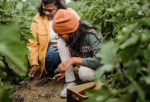 Family gardening
